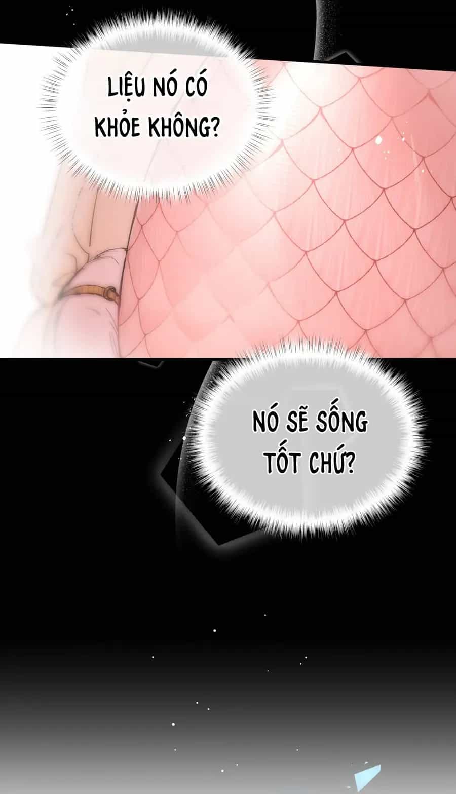 Cô Ấy Sẽ Thuần Phục Anh Hùng - Chương 6 - ảnh 39