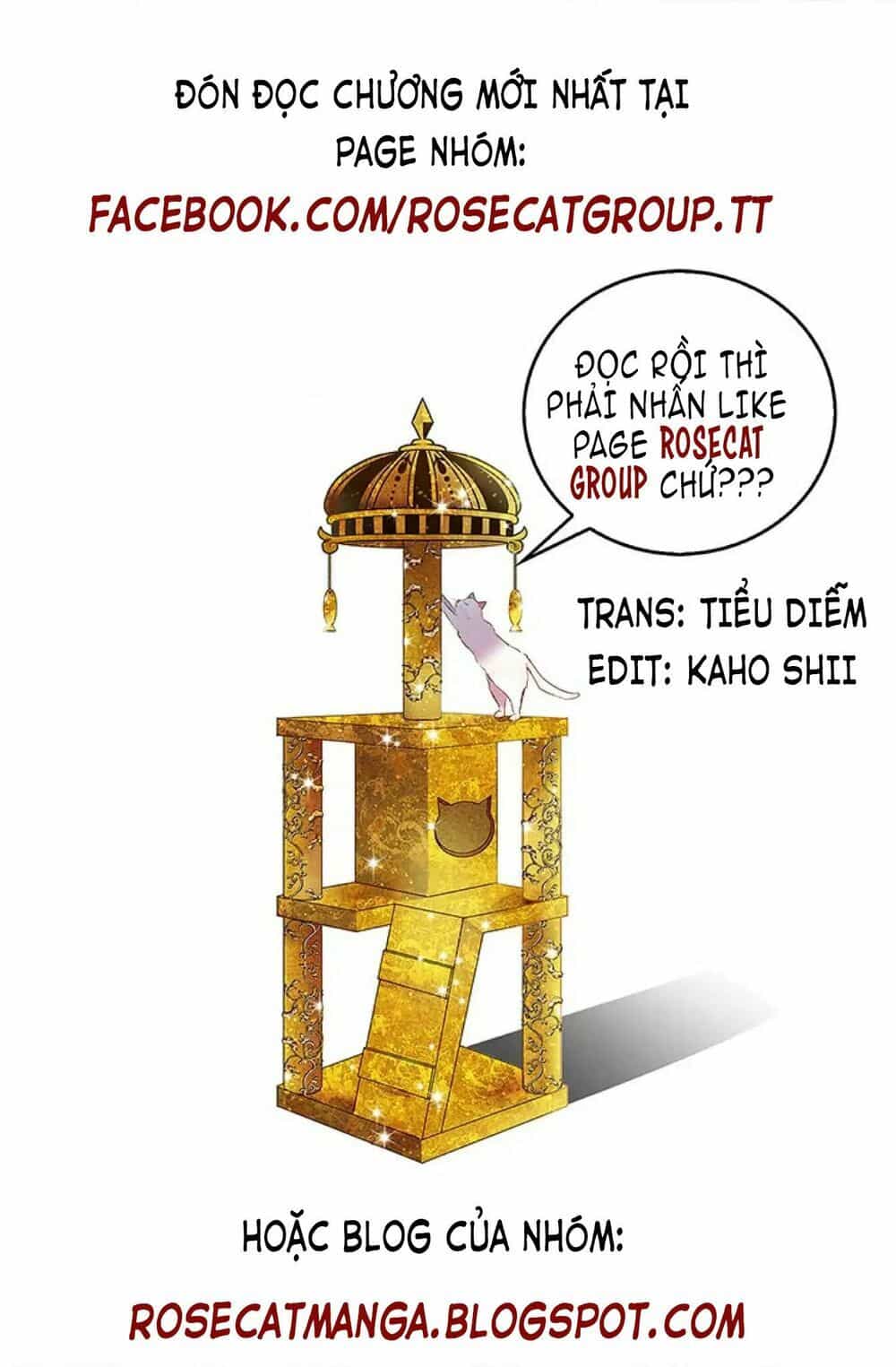 Cô Dâu Của Miêu Hoàng Tử - Chương 0 - ảnh 15