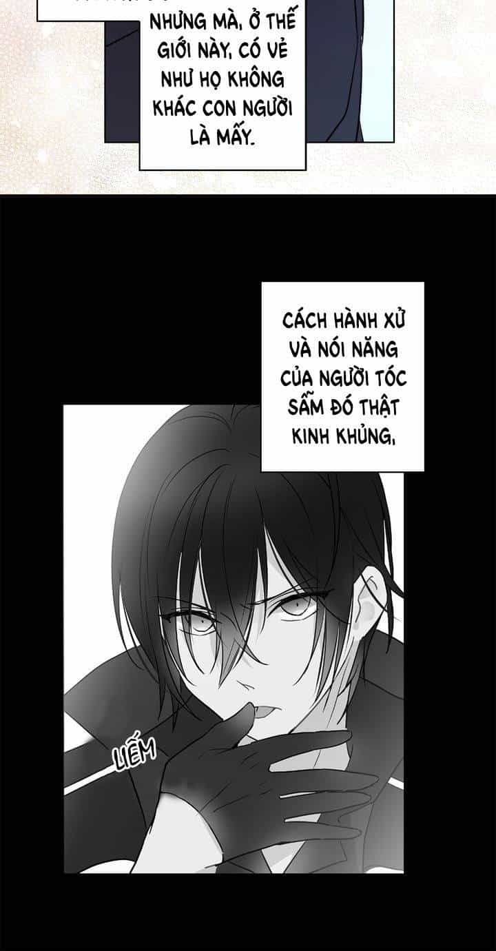 Cô Dâu Của Miêu Hoàng Tử - Chương 12 - ảnh 17