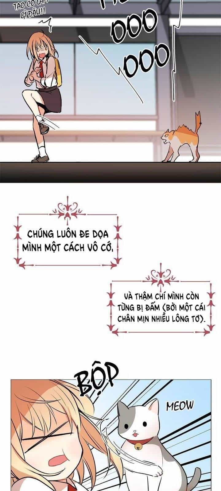 Cô Dâu Của Miêu Hoàng Tử - Chương 15 - ảnh 5