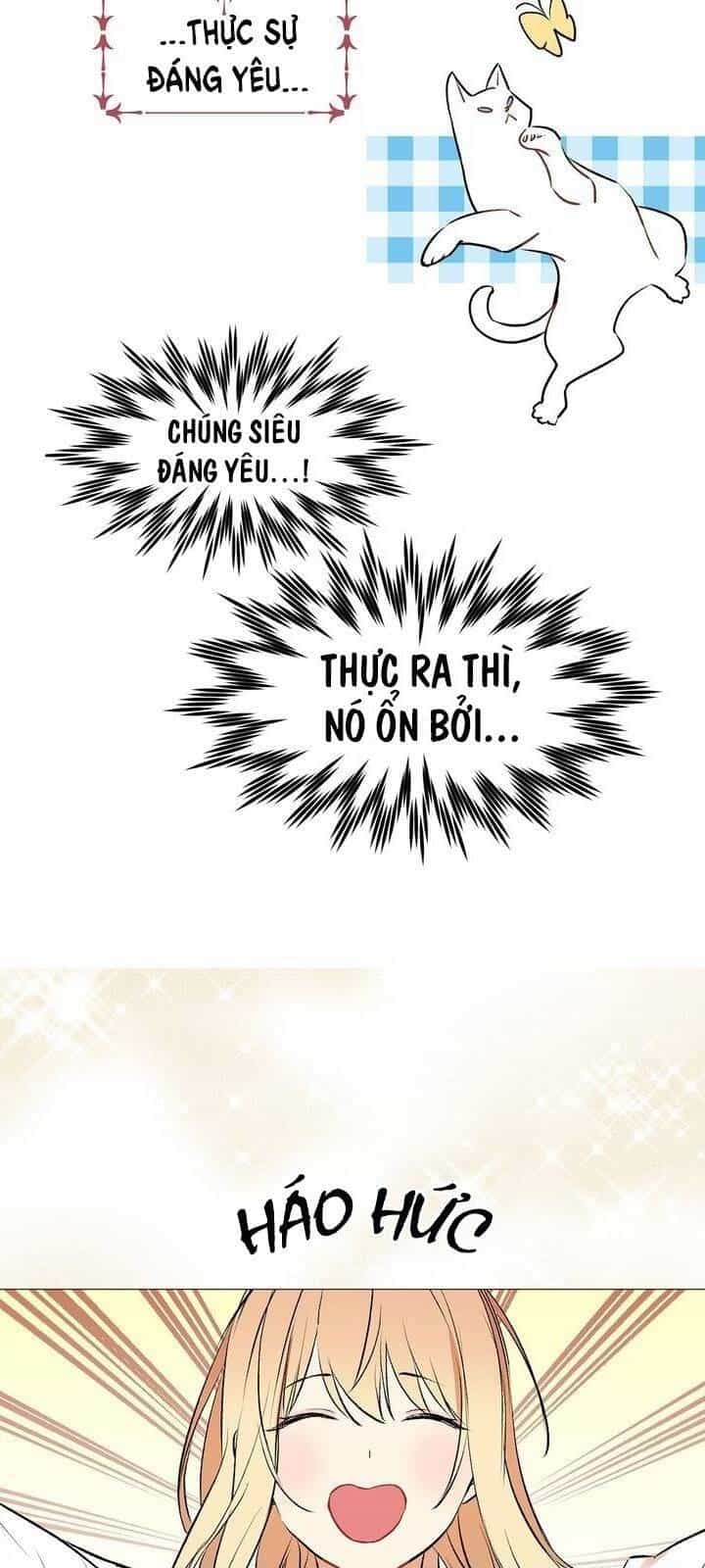 Cô Dâu Của Miêu Hoàng Tử - Chương 15 - ảnh 8