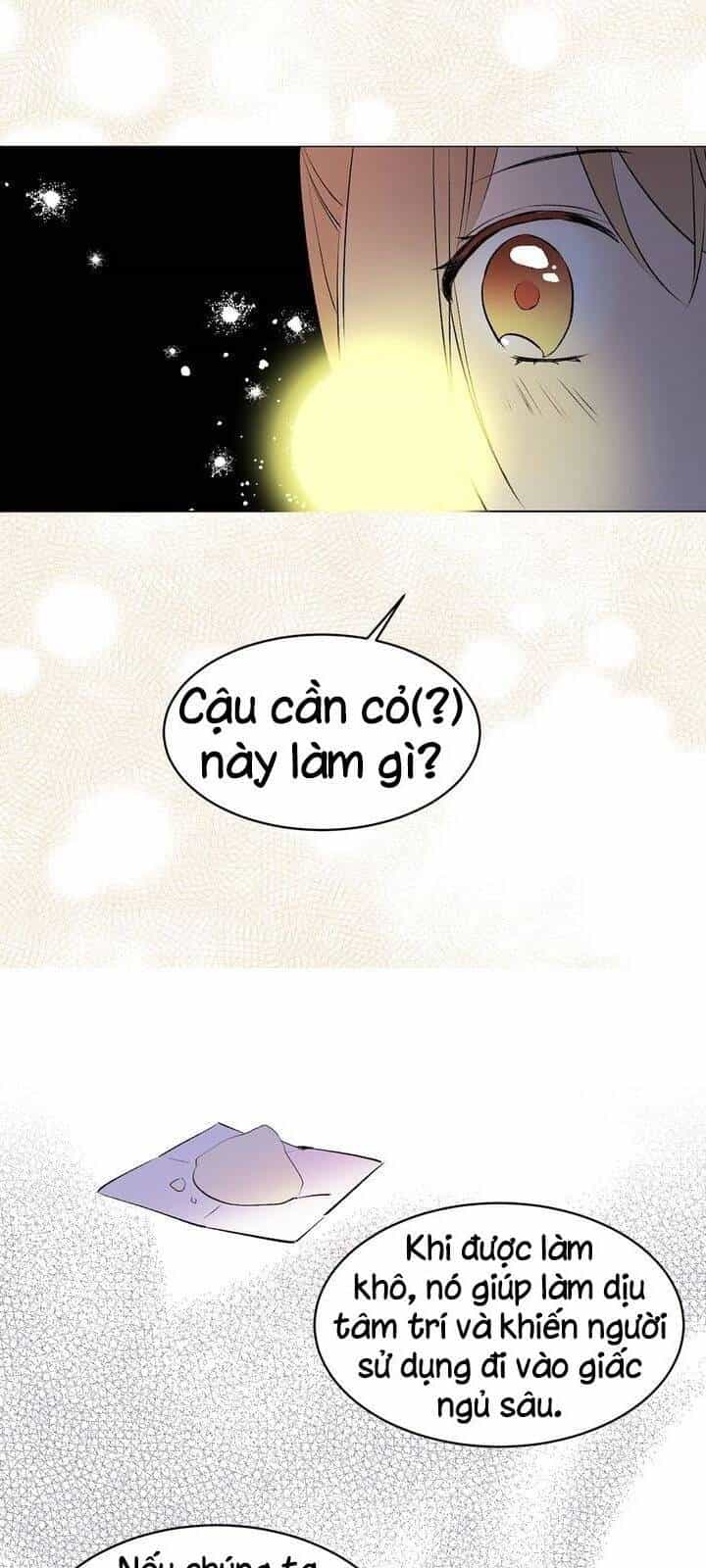 Cô Dâu Của Miêu Hoàng Tử - Chương 17 - ảnh 26