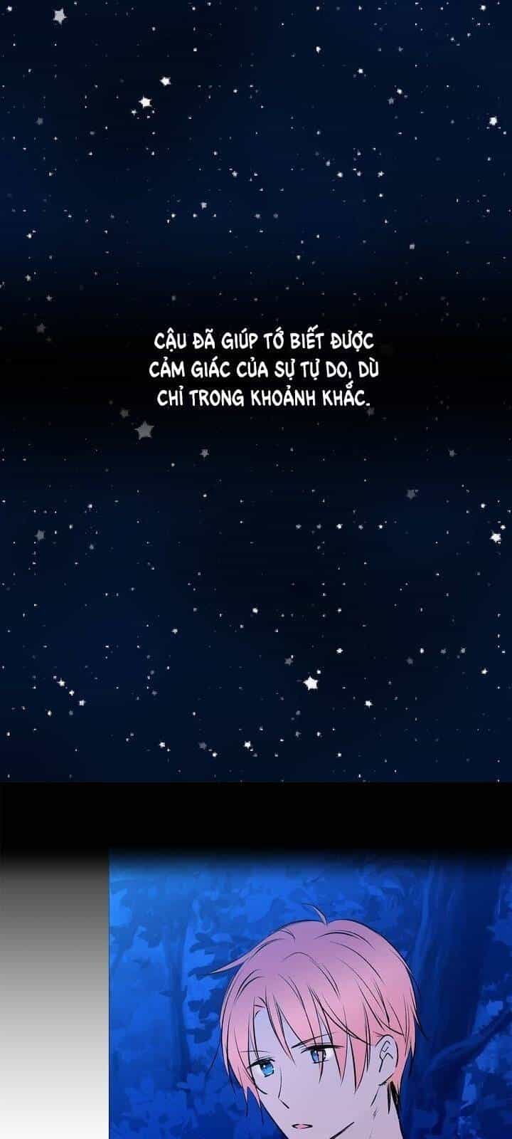 Cô Dâu Của Miêu Hoàng Tử - Chương 17 - ảnh 32