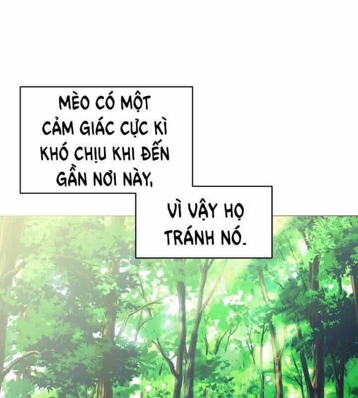 Cô Dâu Của Miêu Hoàng Tử - Chương 18 - ảnh 24