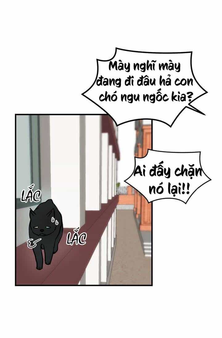 Cô Dâu Của Miêu Hoàng Tử - Chương 2 - ảnh 52