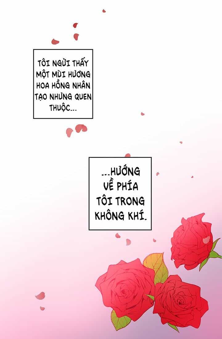 Cô Dâu Của Miêu Hoàng Tử - Chương 3 - ảnh 15