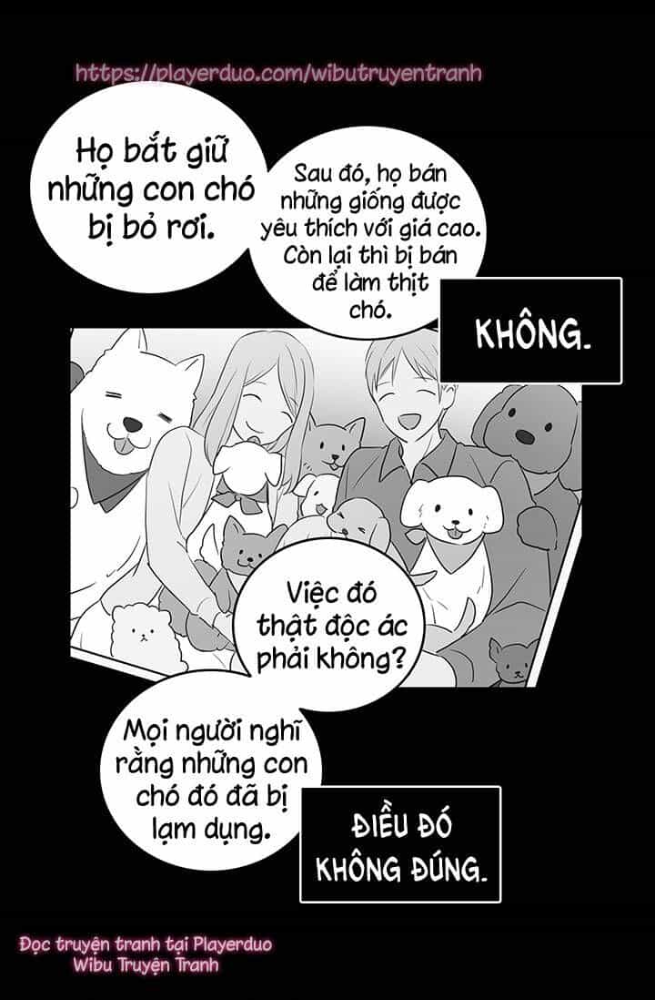 Cô Dâu Của Miêu Hoàng Tử - Chương 5 - ảnh 16