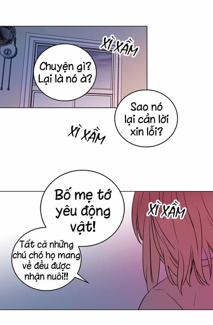 Cô Dâu Của Miêu Hoàng Tử - Chương 5 - ảnh 19