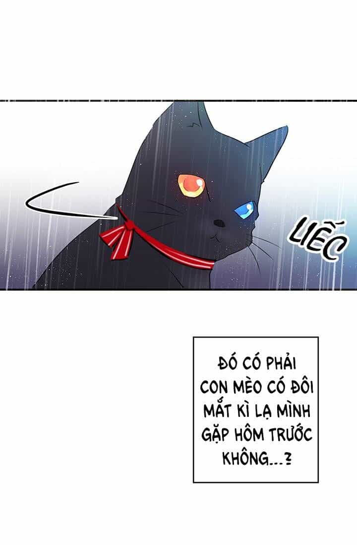 Cô Dâu Của Miêu Hoàng Tử - Chương 5 - ảnh 33