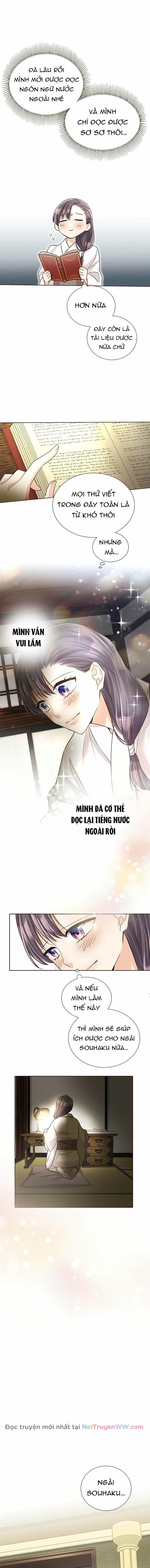 Cô Dâu Của Sói Trắng - Chương 11 - ảnh 7