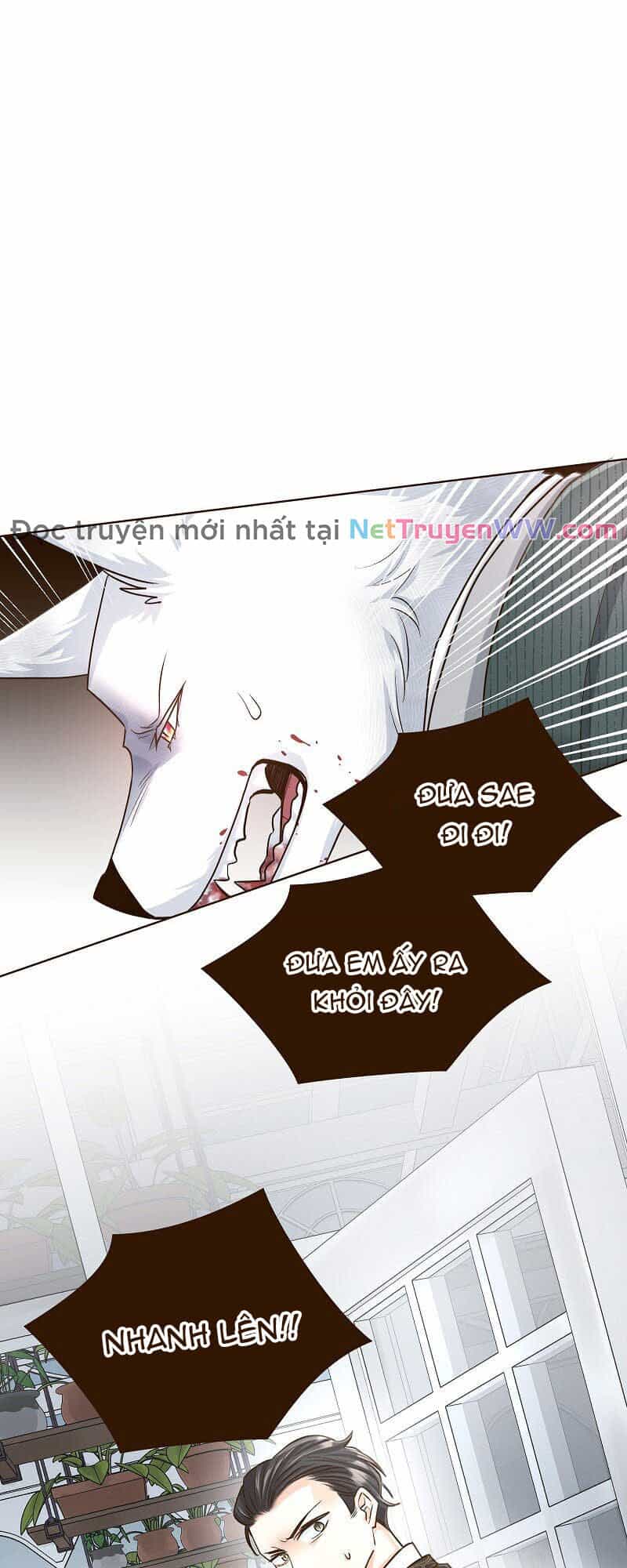 Cô Dâu Của Sói Trắng - Chương 23 - ảnh 20