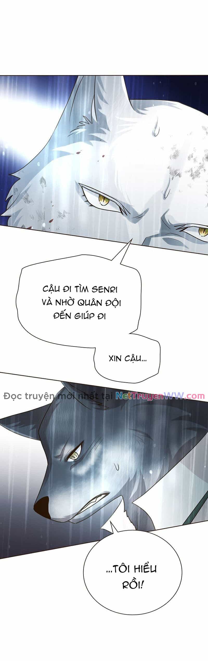 Cô Dâu Của Sói Trắng - Chương 41 - ảnh 42