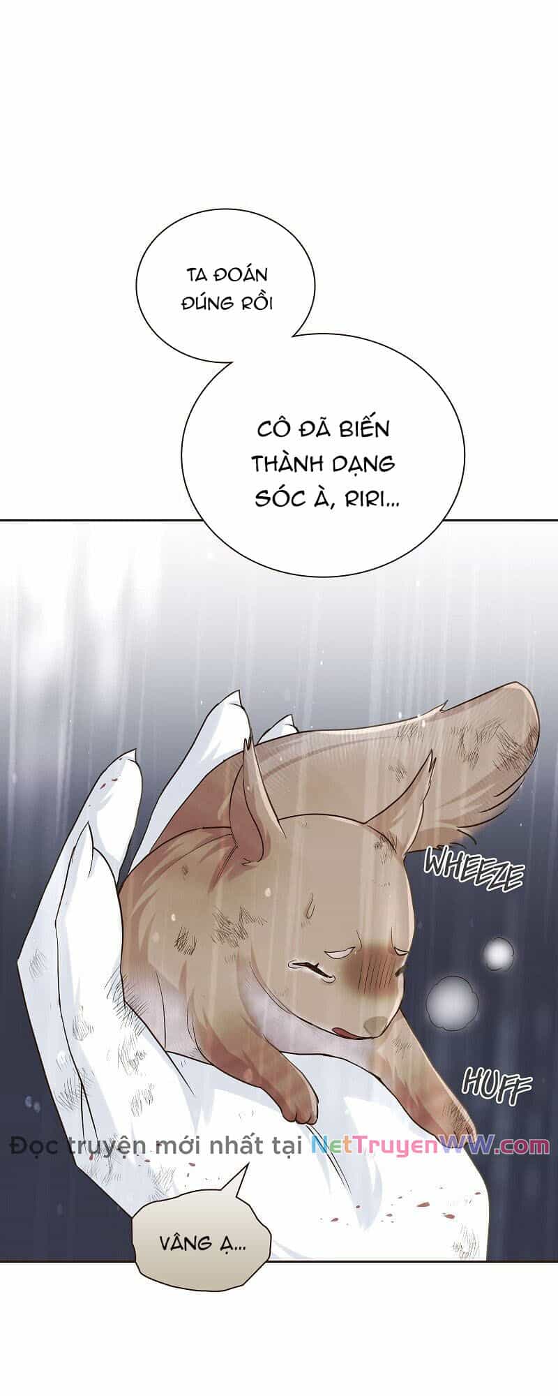 Cô Dâu Của Sói Trắng - Chương 42 - ảnh 5