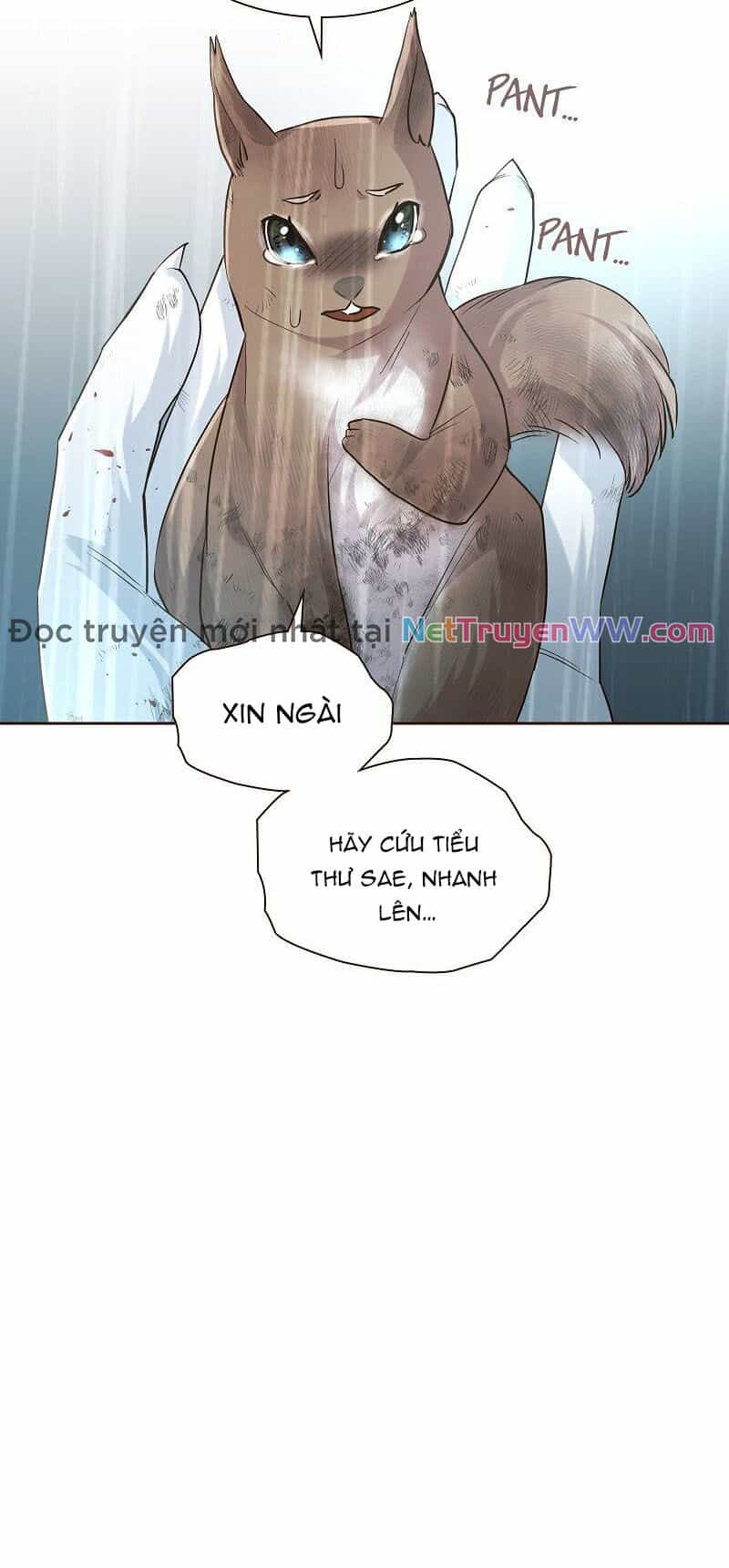 Cô Dâu Của Sói Trắng - Chương 42 - ảnh 9