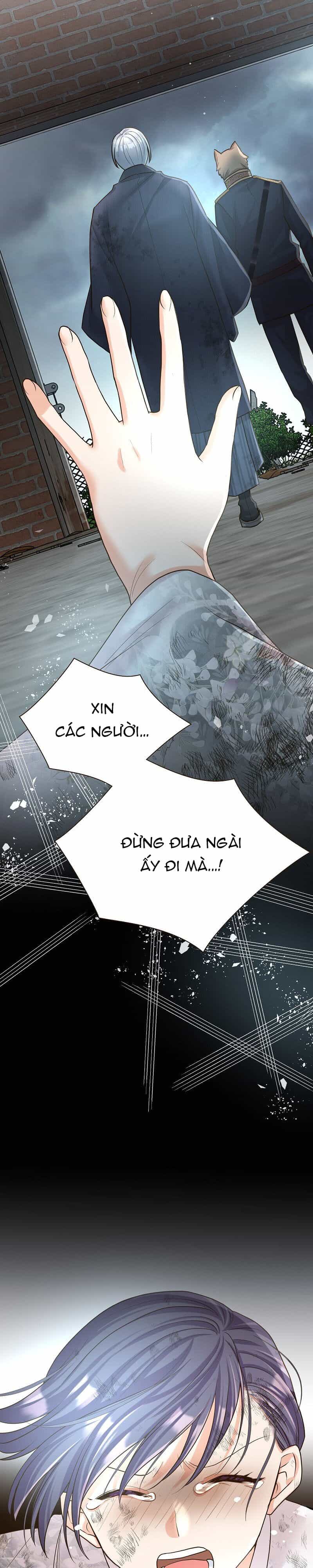 Cô Dâu Của Sói Trắng - Chương 44 - ảnh 12