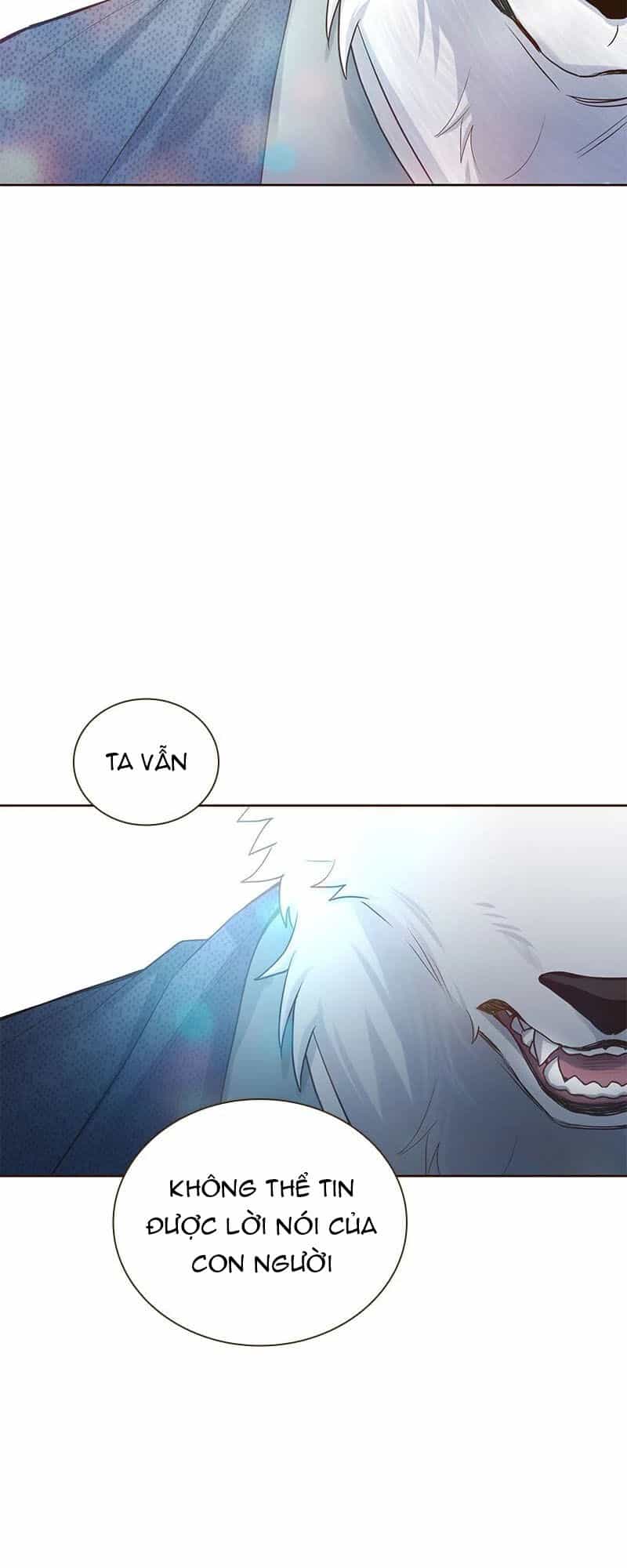 Cô Dâu Của Sói Trắng - Chương 6 - ảnh 33