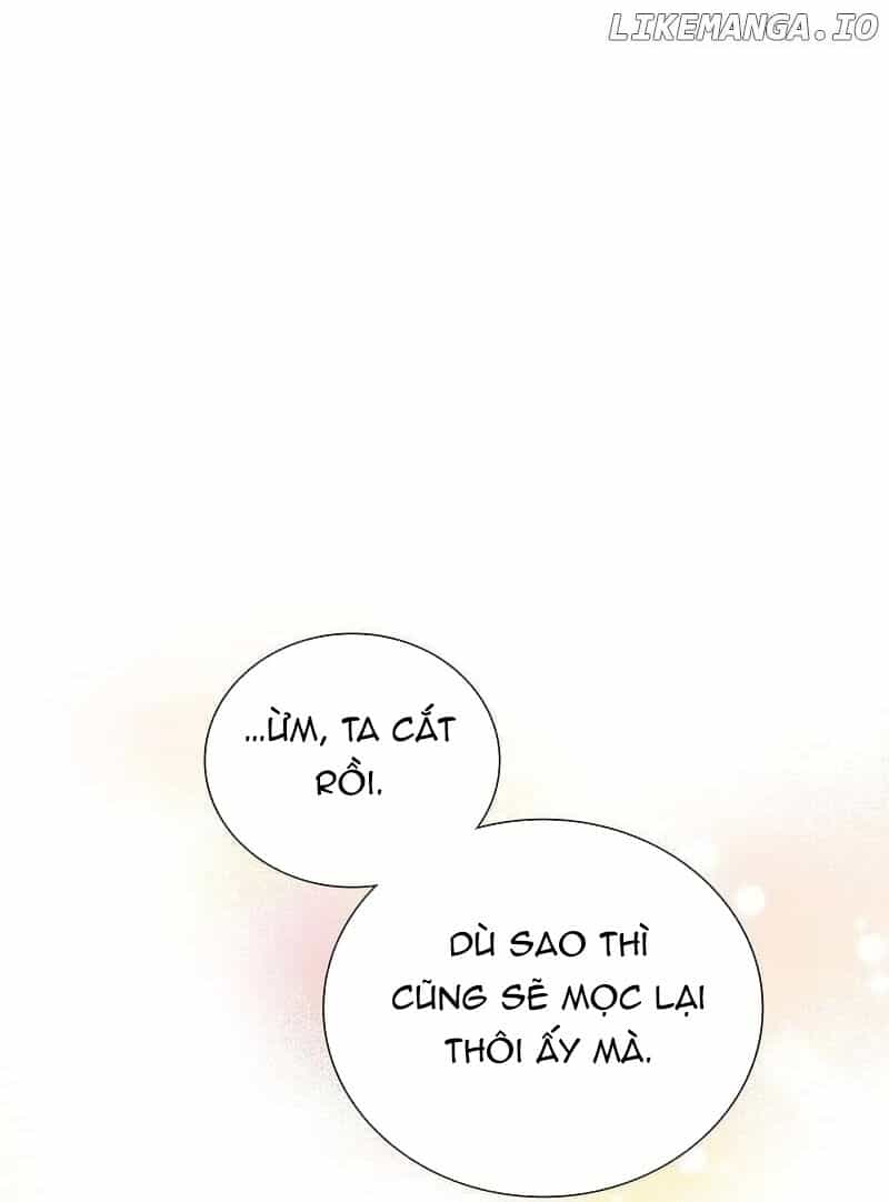 Cô Dâu Của Sói Trắng - Chương 71 - ảnh 21