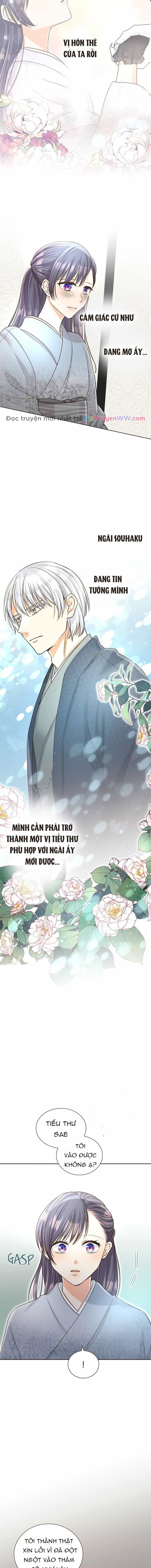 Cô Dâu Của Sói Trắng - Chương 8 - ảnh 7