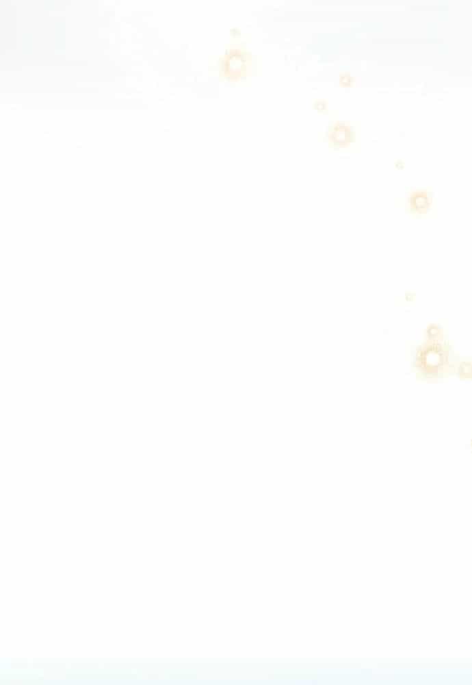 Cô Dâu Của Sói Trắng - Chương 98.1 - ảnh 70