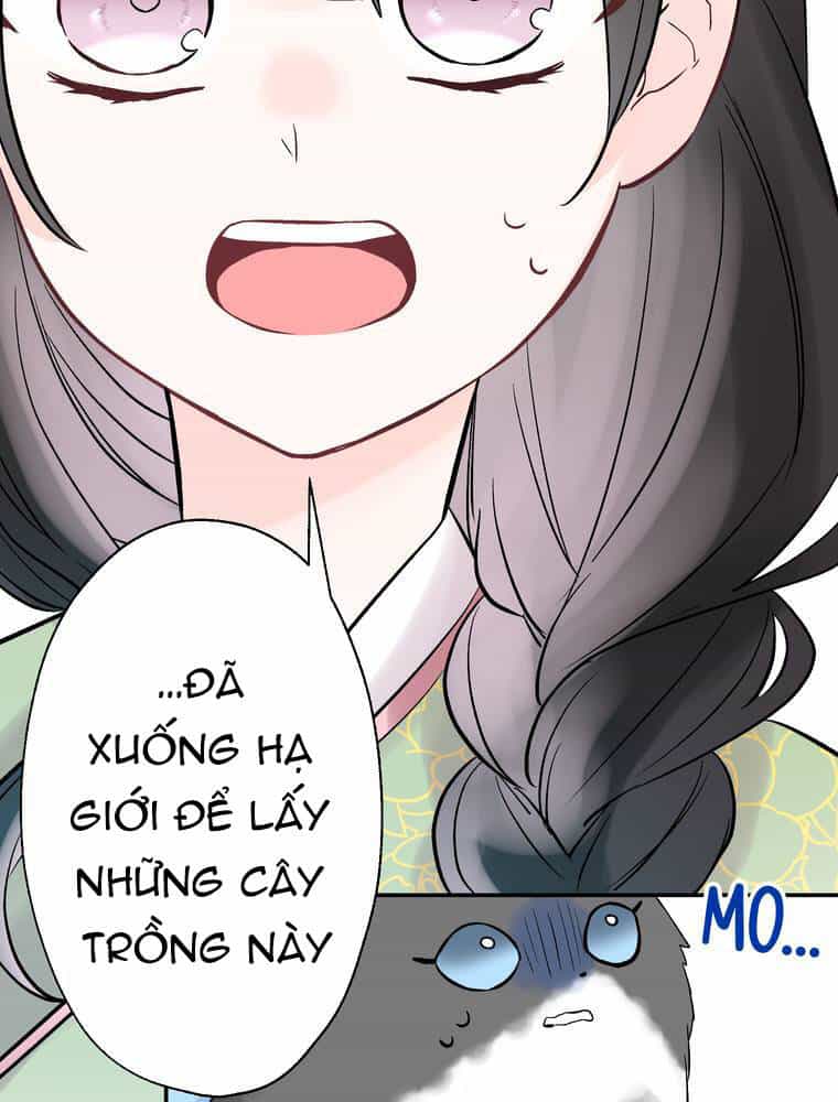 Cô Dâu Hiến Tế Của Thủy Thần - Chương 12 - ảnh 7