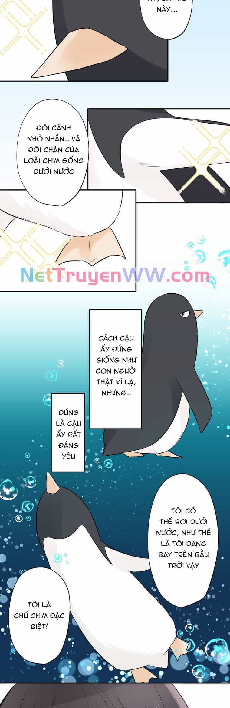 Cô Dâu Hiến Tế Của Thủy Thần - Chương 3 - ảnh 3