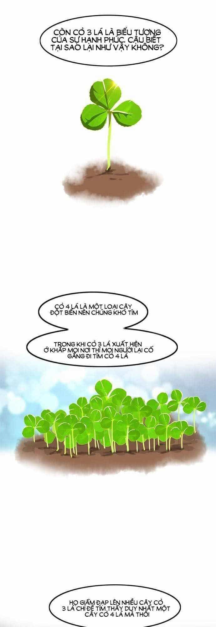 Cô Gái Từ Ứng Dụng Nhắn Tin Ngẫu Nhiên - Chương 21 - ảnh 27