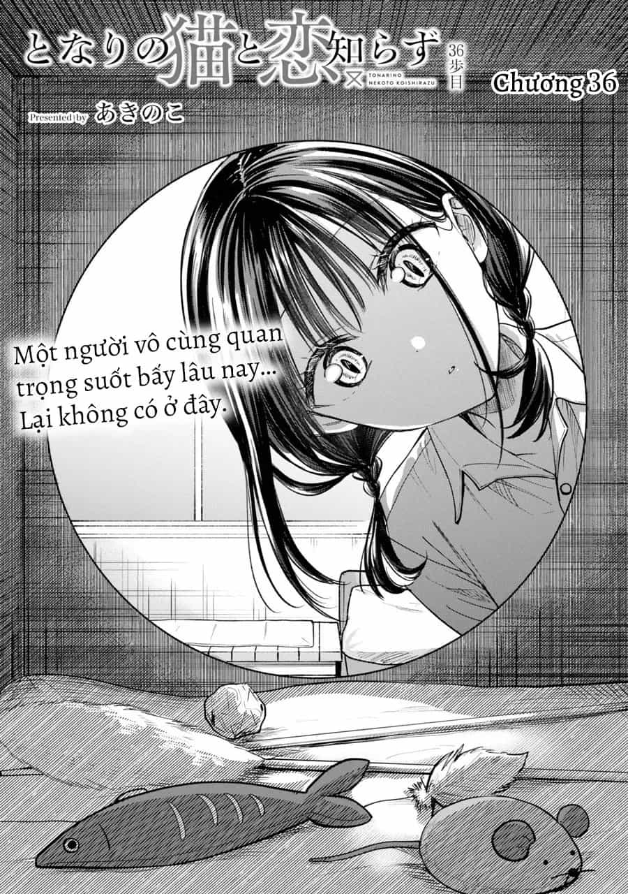 Cô Nàng Mèo Ngủ Gật Và Chàng Trai Hướng Nội - Chương 41 - ảnh 3