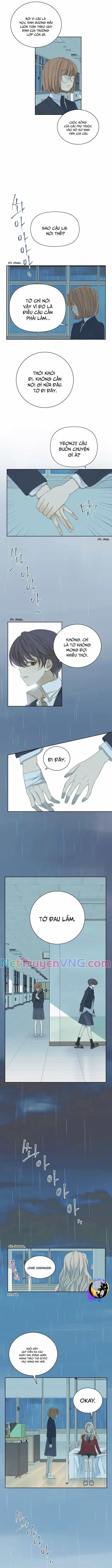 Cô Nàng Sắc Sảo - Chương 48 - ảnh 6