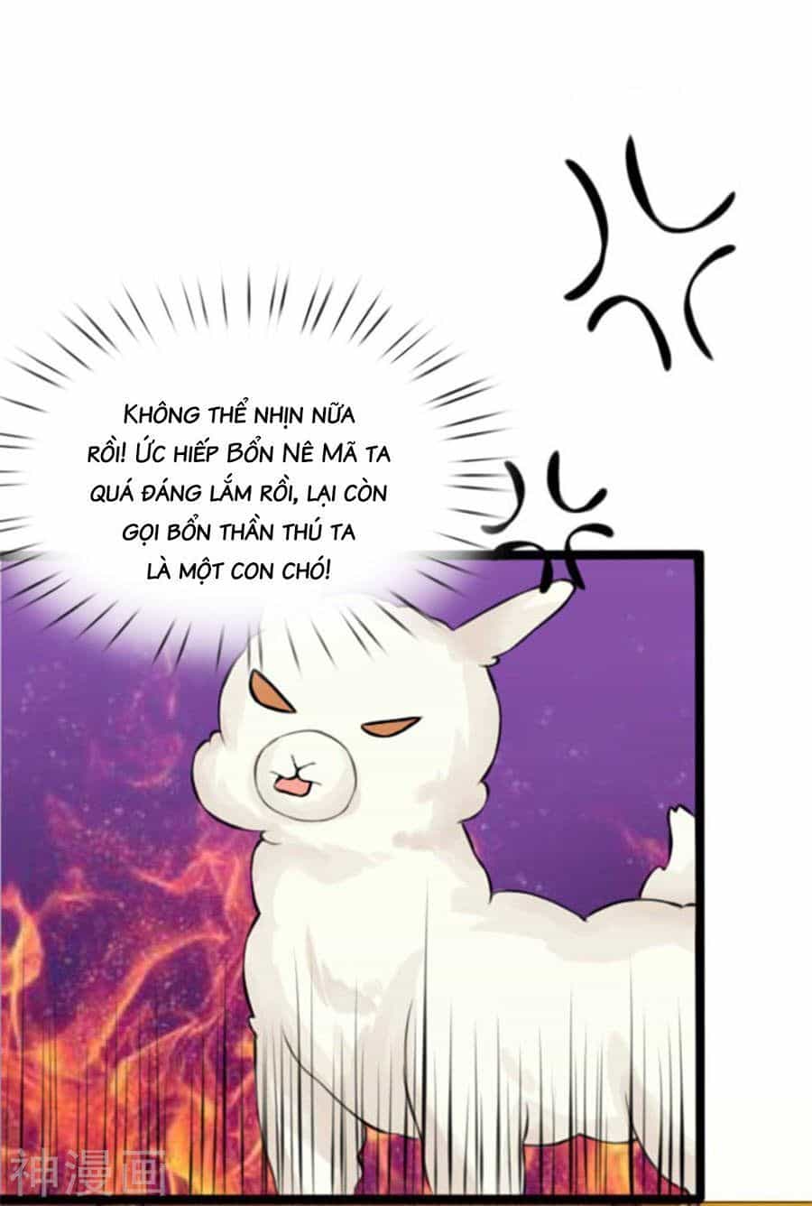 Cô Nương Xấu Xí Của Trẫm - Chương 24 - ảnh 10