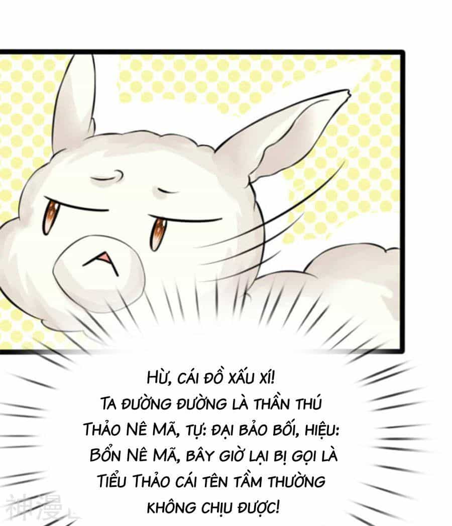 Cô Nương Xấu Xí Của Trẫm - Chương 24 - ảnh 6