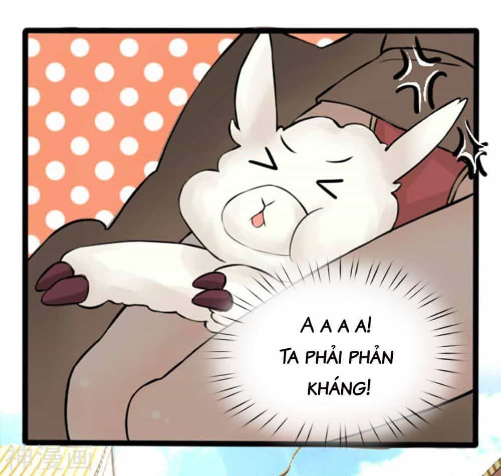 Cô Nương Xấu Xí Của Trẫm - Chương 26 - ảnh 7