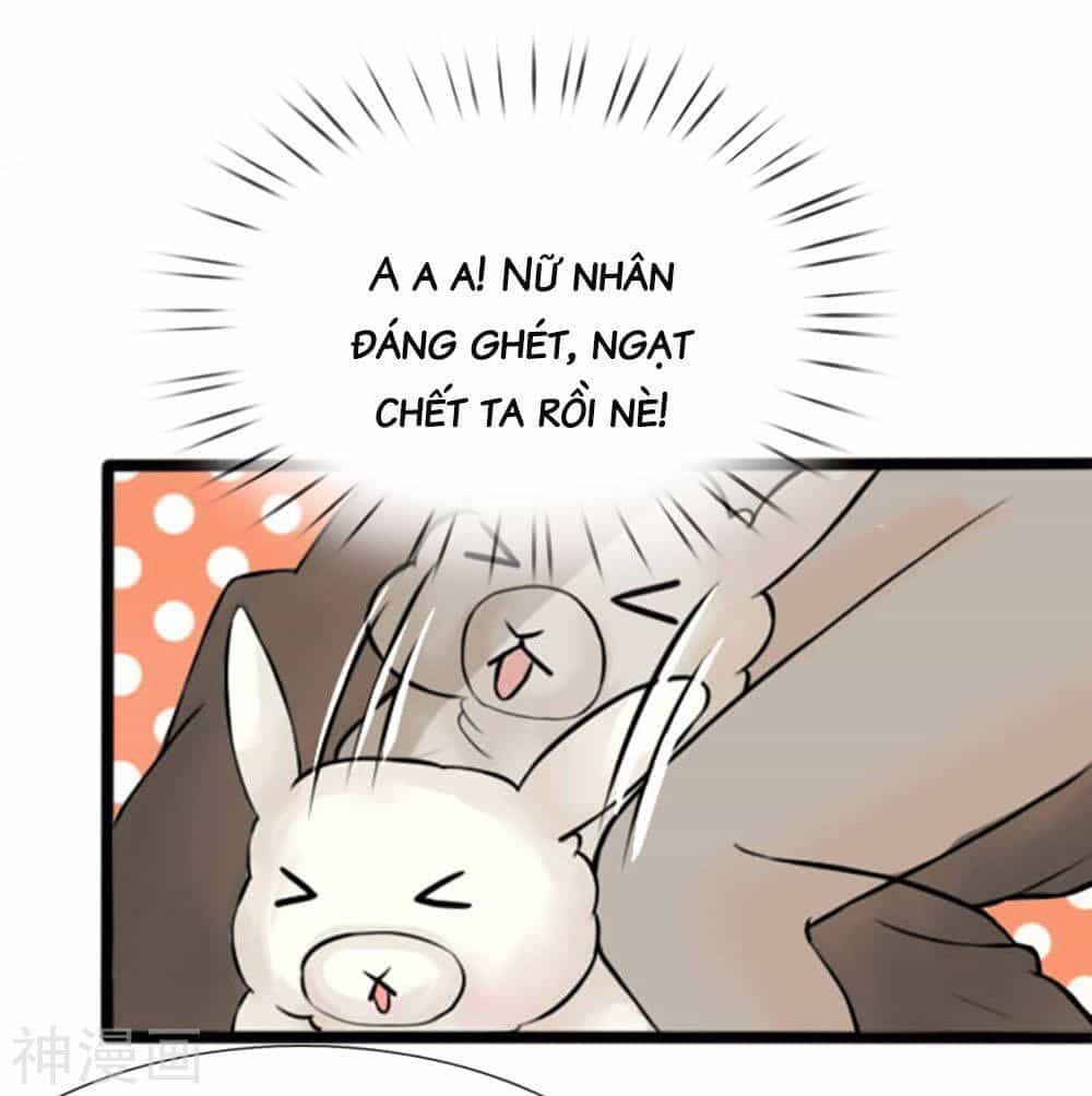 Cô Nương Xấu Xí Của Trẫm - Chương 27 - ảnh 3