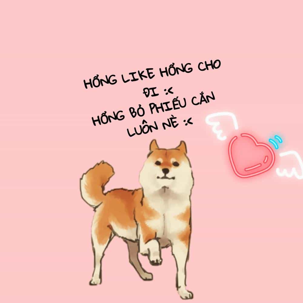 Cô Nương Xấu Xí Của Trẫm - Chương 4 - ảnh 11
