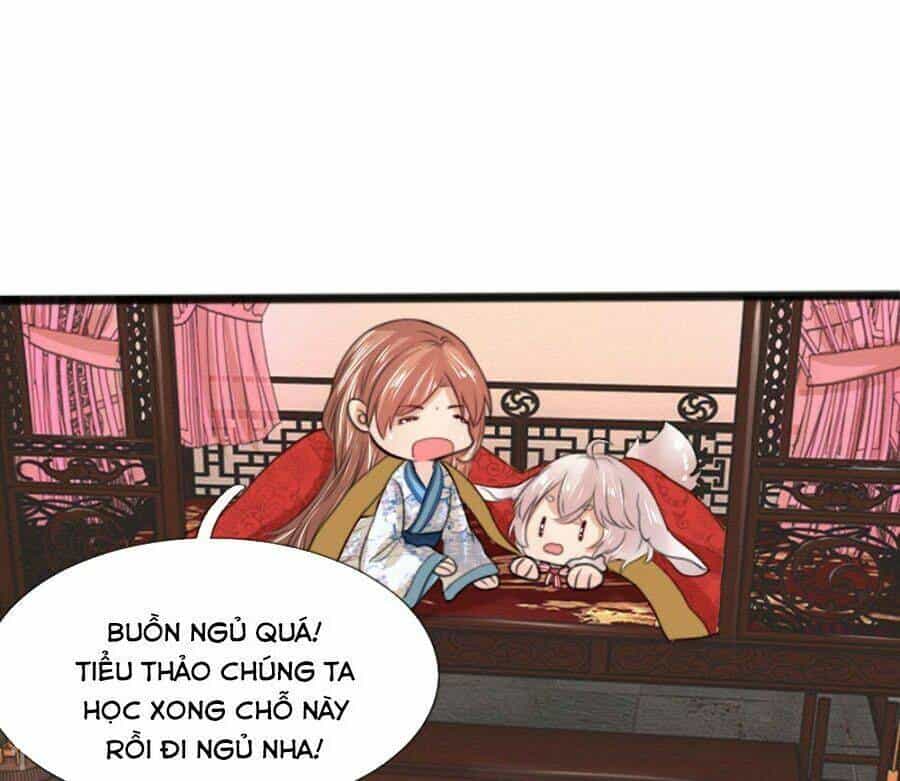 Cô Nương Xấu Xí Của Trẫm - Chương 40 - ảnh 14