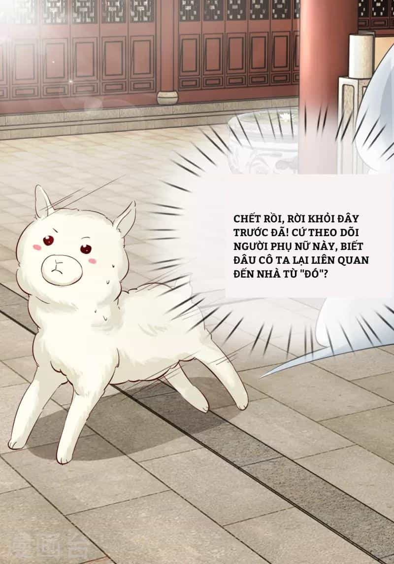 Cô Nương Xấu Xí Của Trẫm - Chương 9 - ảnh 8