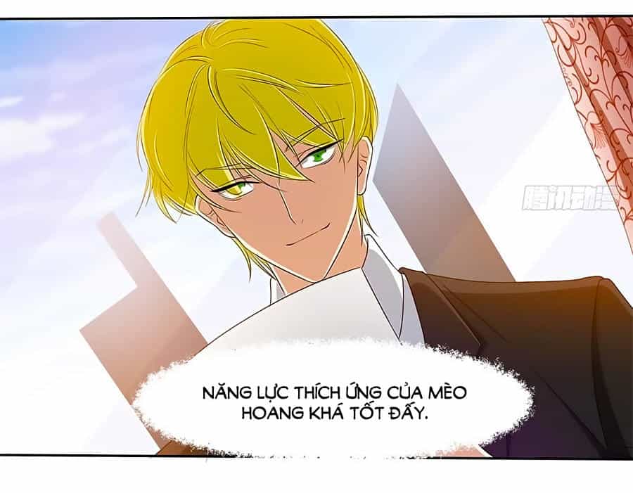 Cô Sát Thủ Ơi, Yêu Nhau Nhé - Chương 12 - ảnh 6
