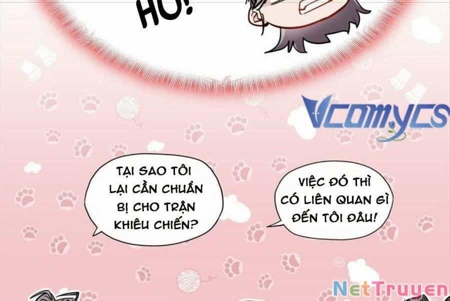 Cố Tổng, Vợ Của Ngài Quá Mạnh Rồi! - Chương 98 - ảnh 19