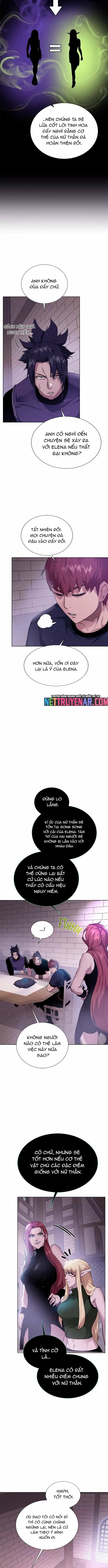 Cổ Vật Trong Hầm Tối - Chương 131 - ảnh 8