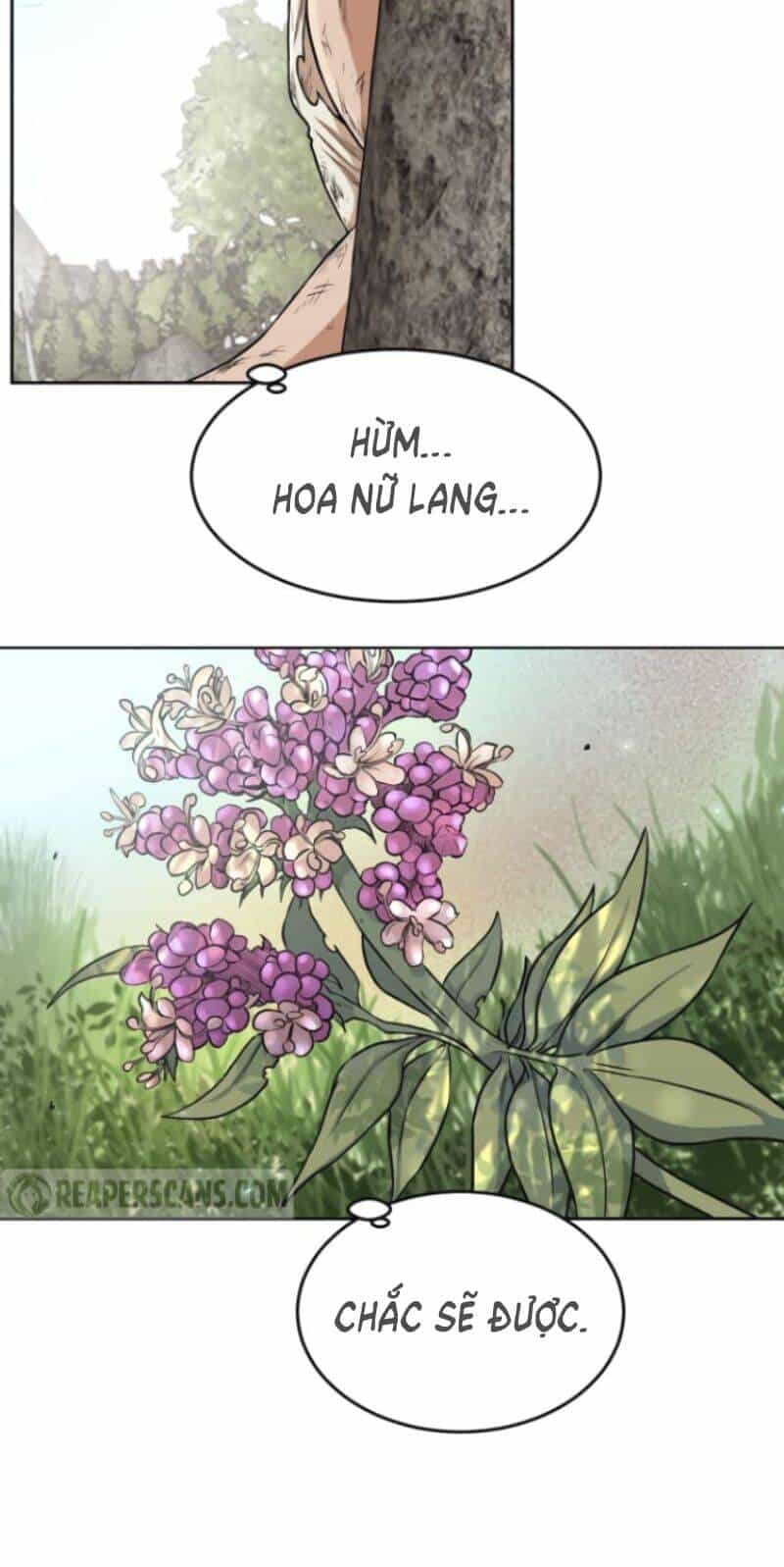 Cổ Vật Trong Hầm Tối - Chương 3 - ảnh 31