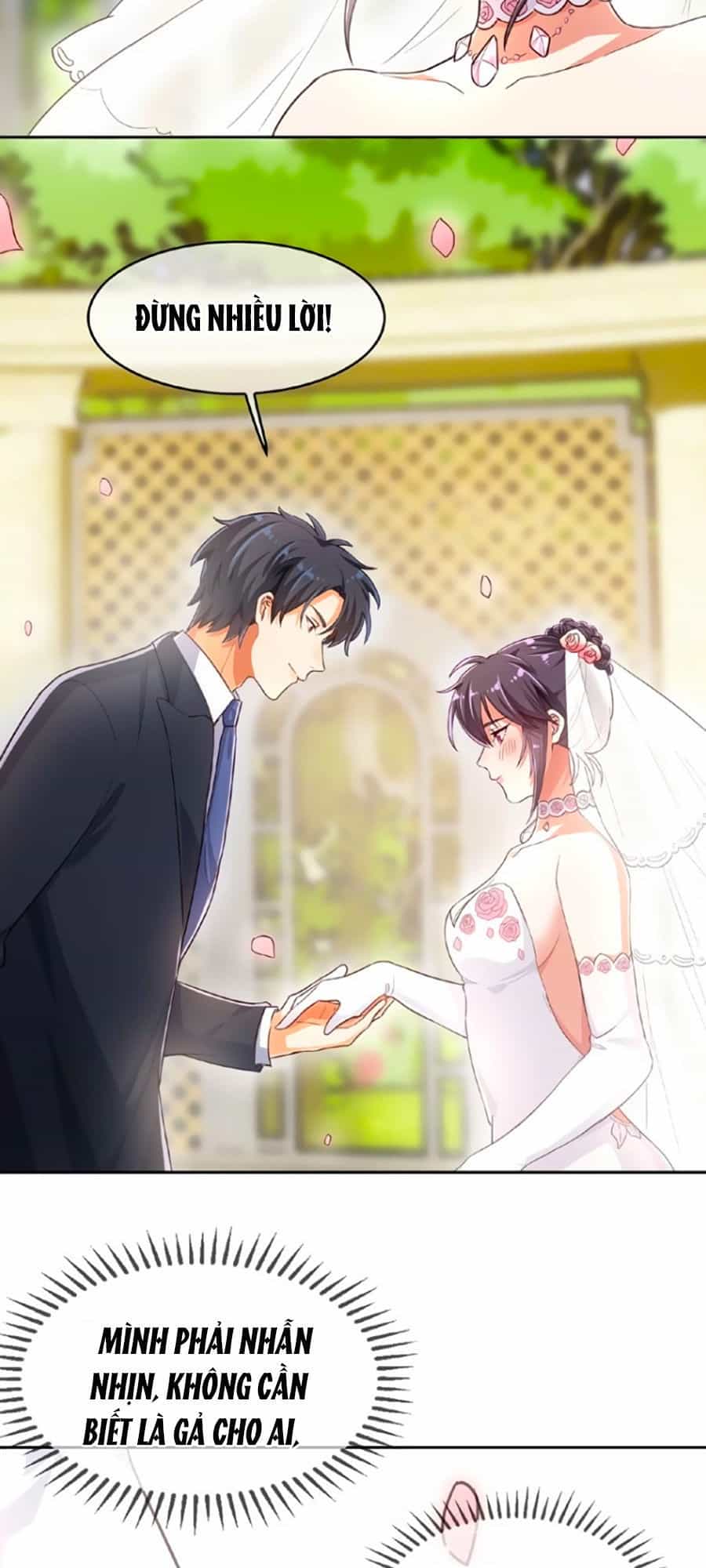 Cô Vợ Gả Thay Của Tổng Tài Cố Chấp - Chương 3 - ảnh 30