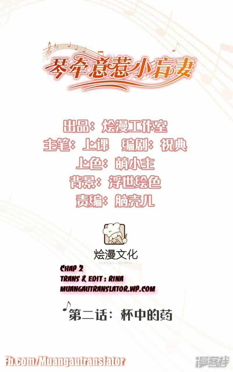 Cô Vợ Nhỏ Bị Mù Của Hàn Thiếu - Chương 2 - ảnh 1