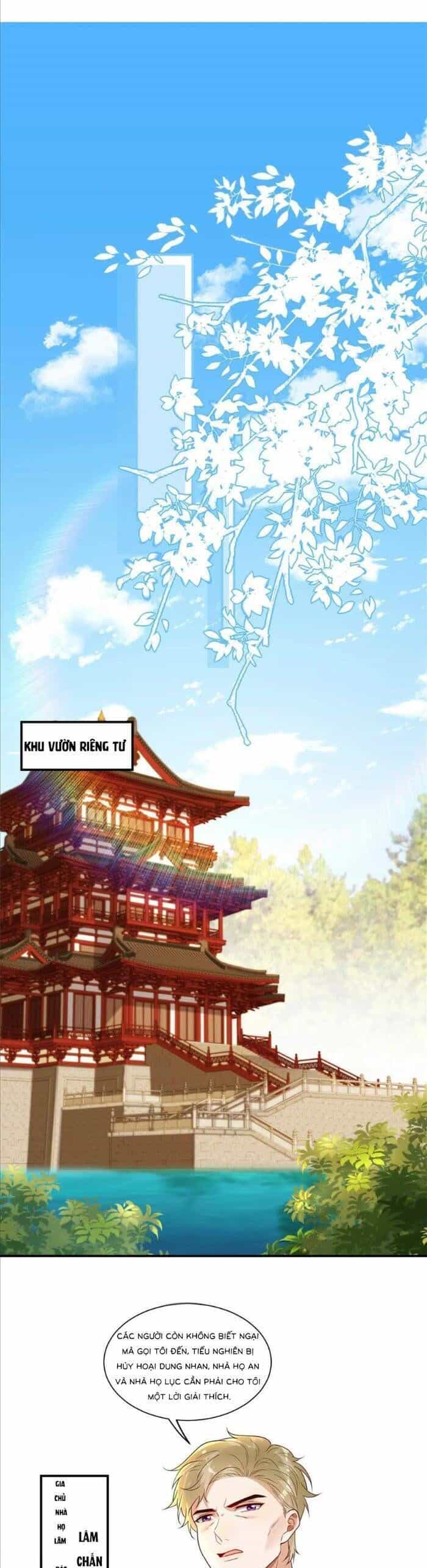 Cô Vợ Nhỏ Cứ Thích Phá Vỡ Hình Tượng - Chương 35 - ảnh 13