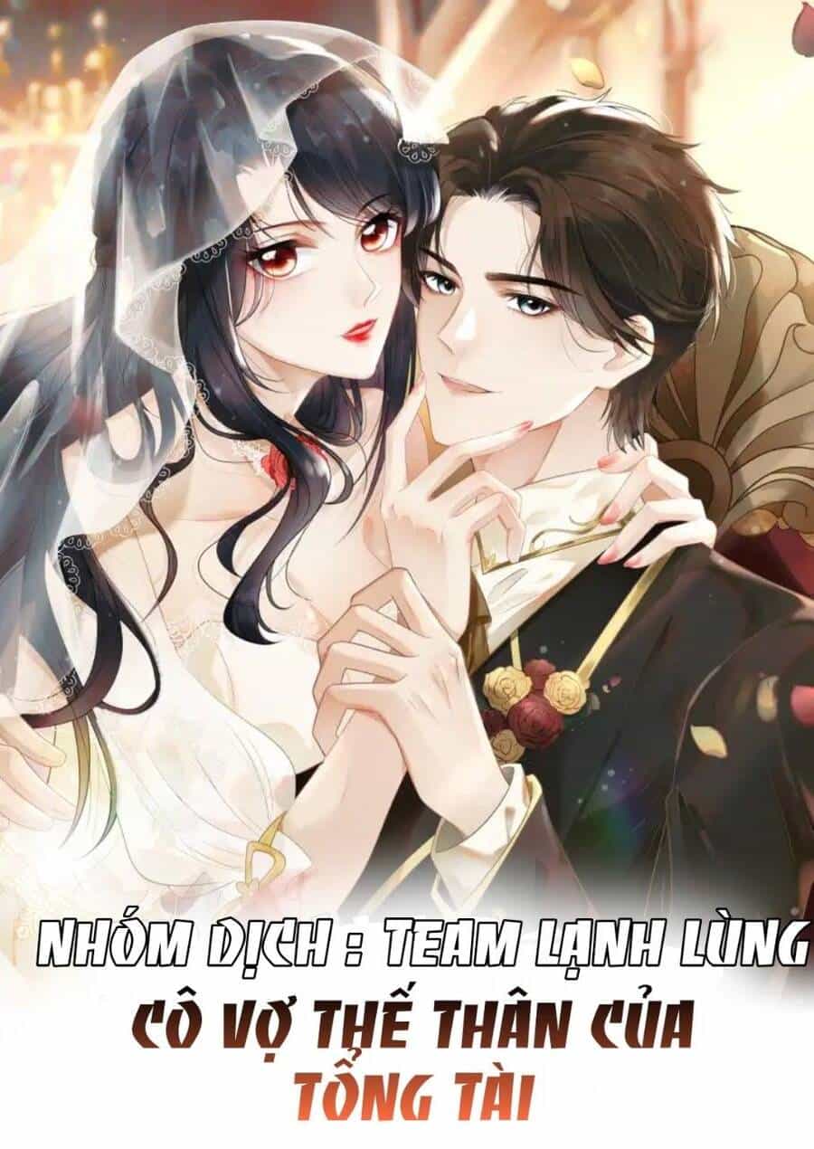 Cô Vợ Thế Thân Của Tổng Tài - Chương 2 - ảnh 2