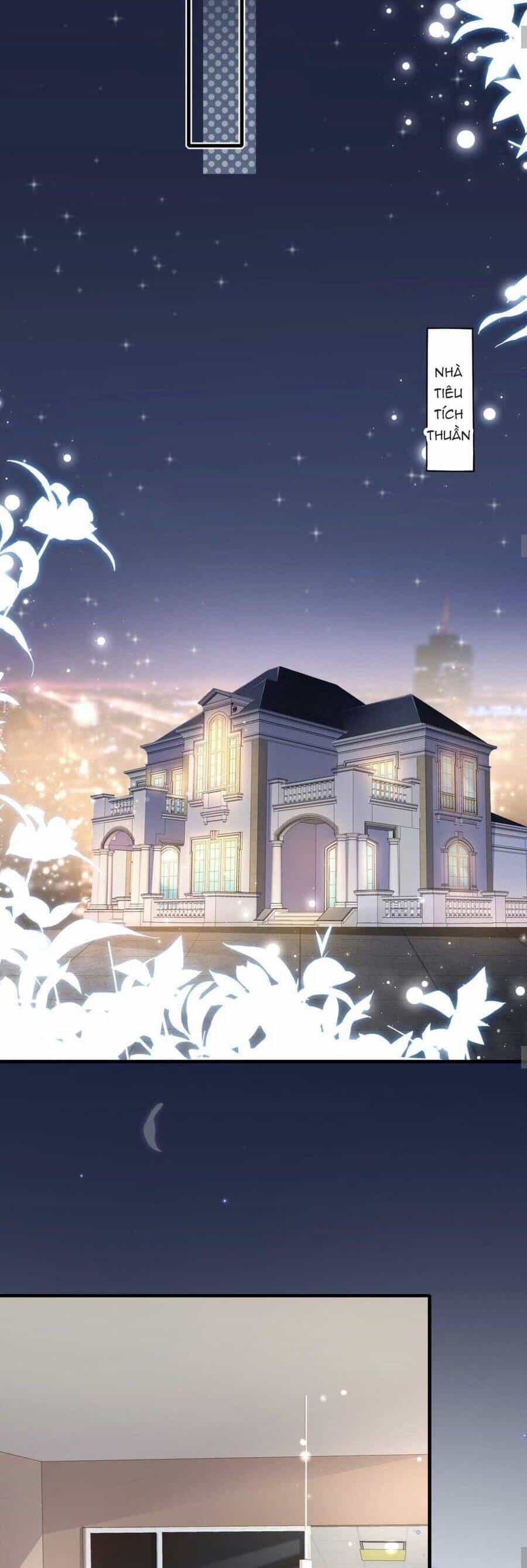 Cô Vợ Thế Thân Của Tổng Tài - Chương 4 - ảnh 19