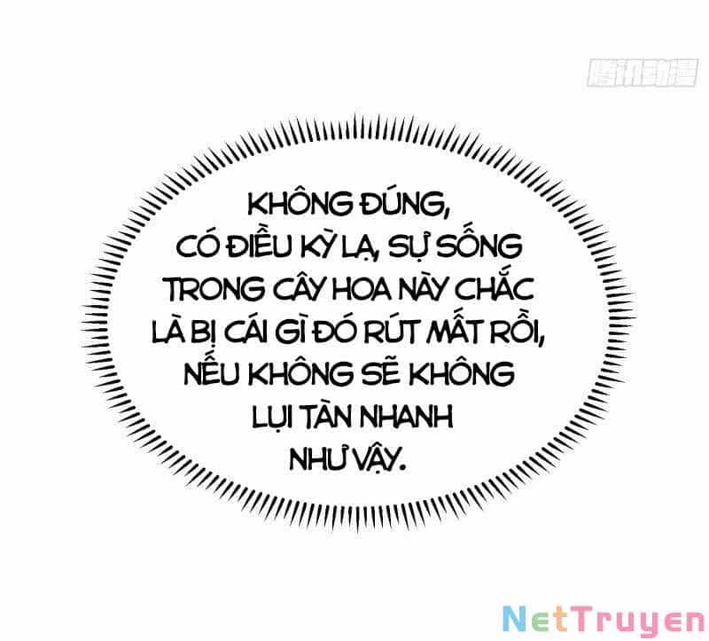 Con Của Ta Là Đại Lão - Chương 48 - ảnh 14