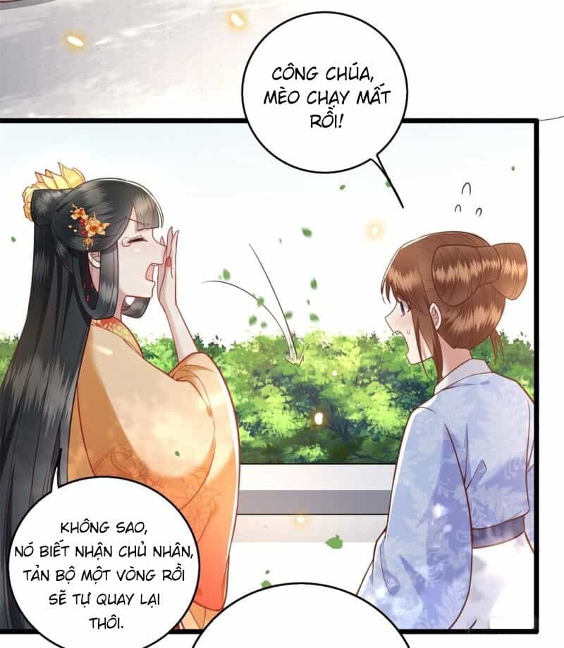 Con Đường Hoang Dã Của Vương Phi - Chương 12 - ảnh 13