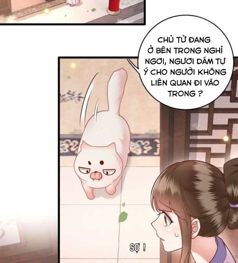 Con Đường Hoang Dã Của Vương Phi - Chương 13 - ảnh 4
