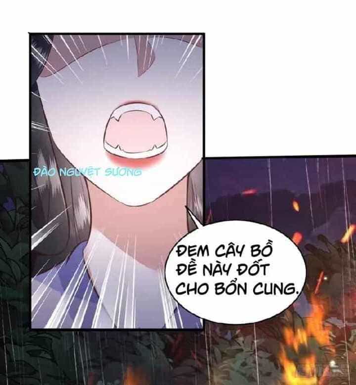 Con Đường Hoang Dã Của Vương Phi - Chương 22 - ảnh 16