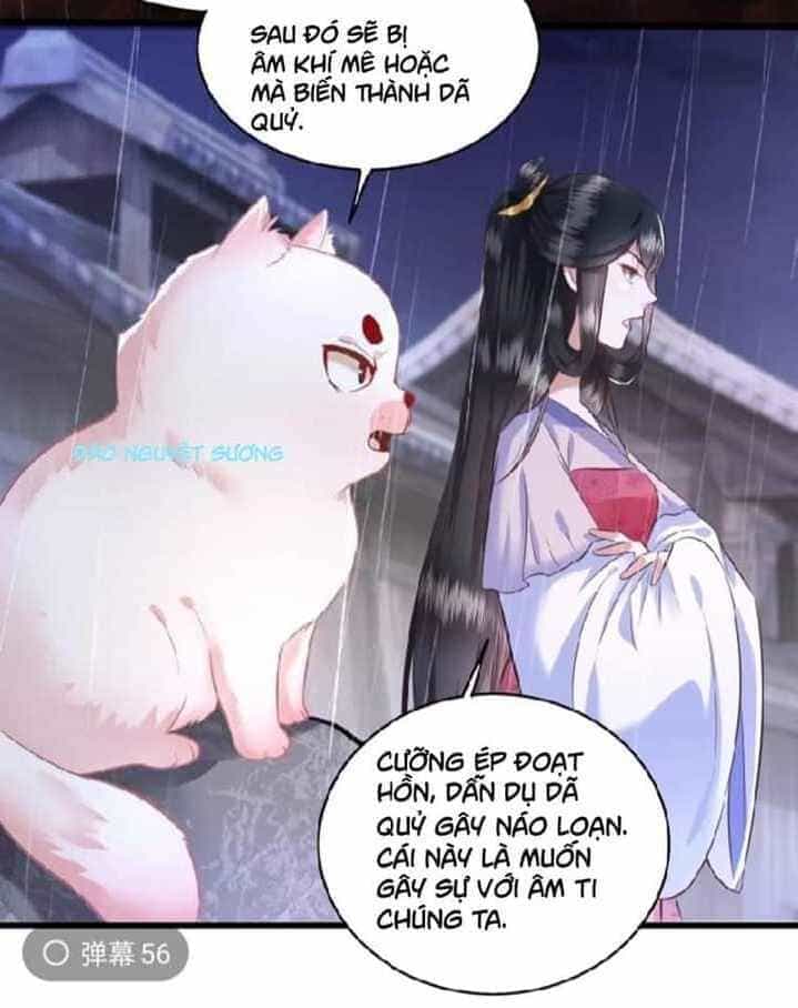 Con Đường Hoang Dã Của Vương Phi - Chương 22 - ảnh 19