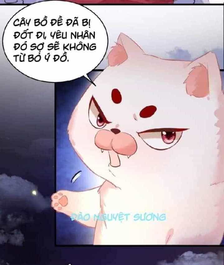 Con Đường Hoang Dã Của Vương Phi - Chương 22 - ảnh 21